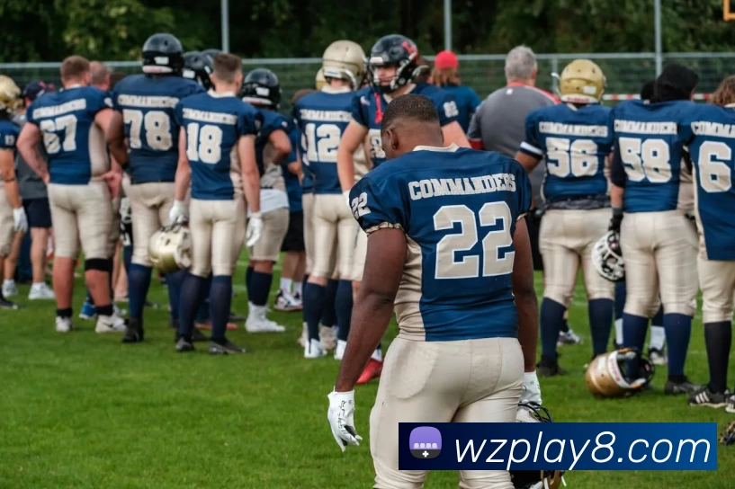 王者直播官网平台生态图